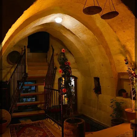 Auberge de jeunesse Ali's